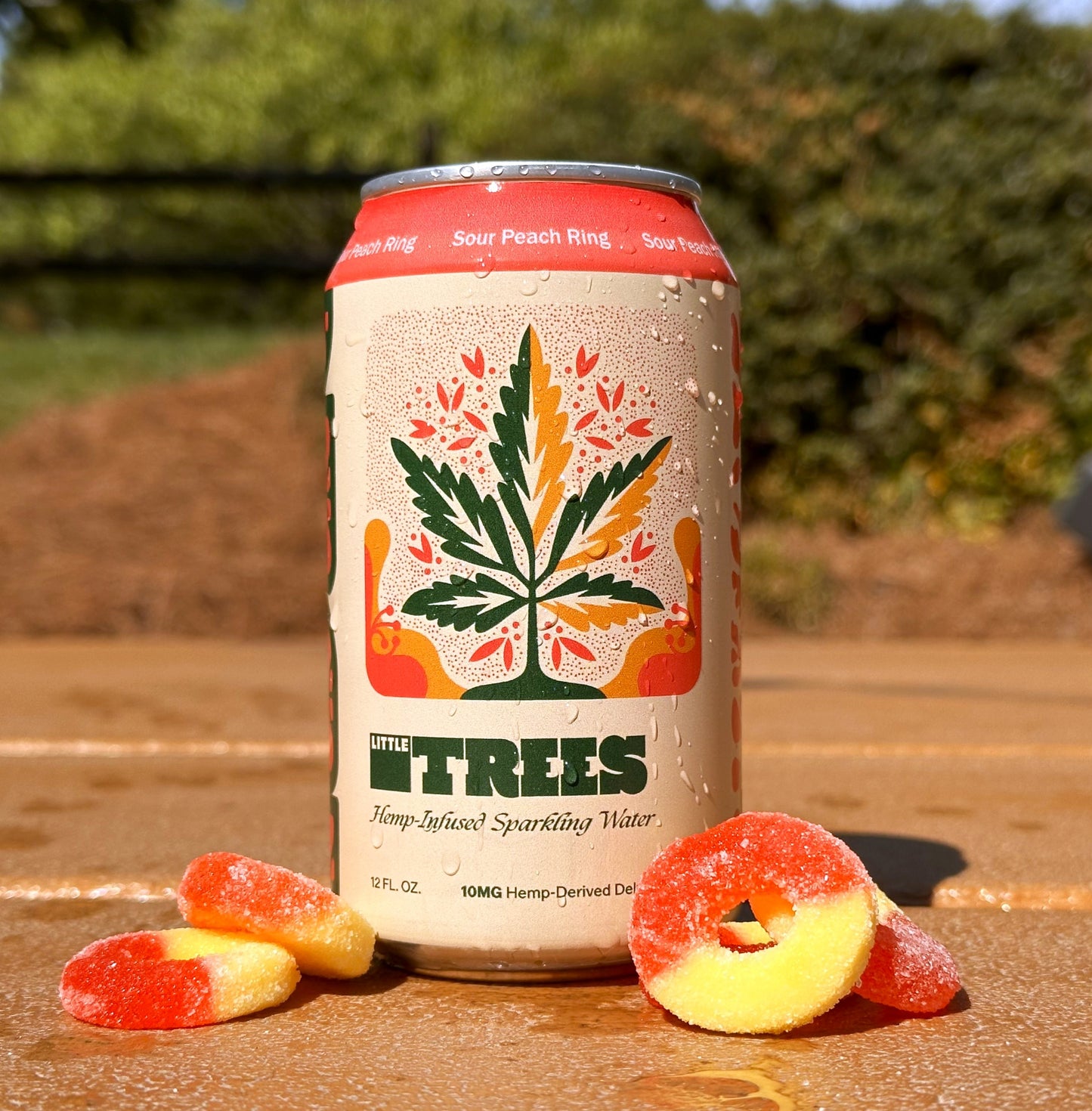 4-Pack Sour Peach Ring - Little Trees Hemp-Derived THC Sparkling Waters