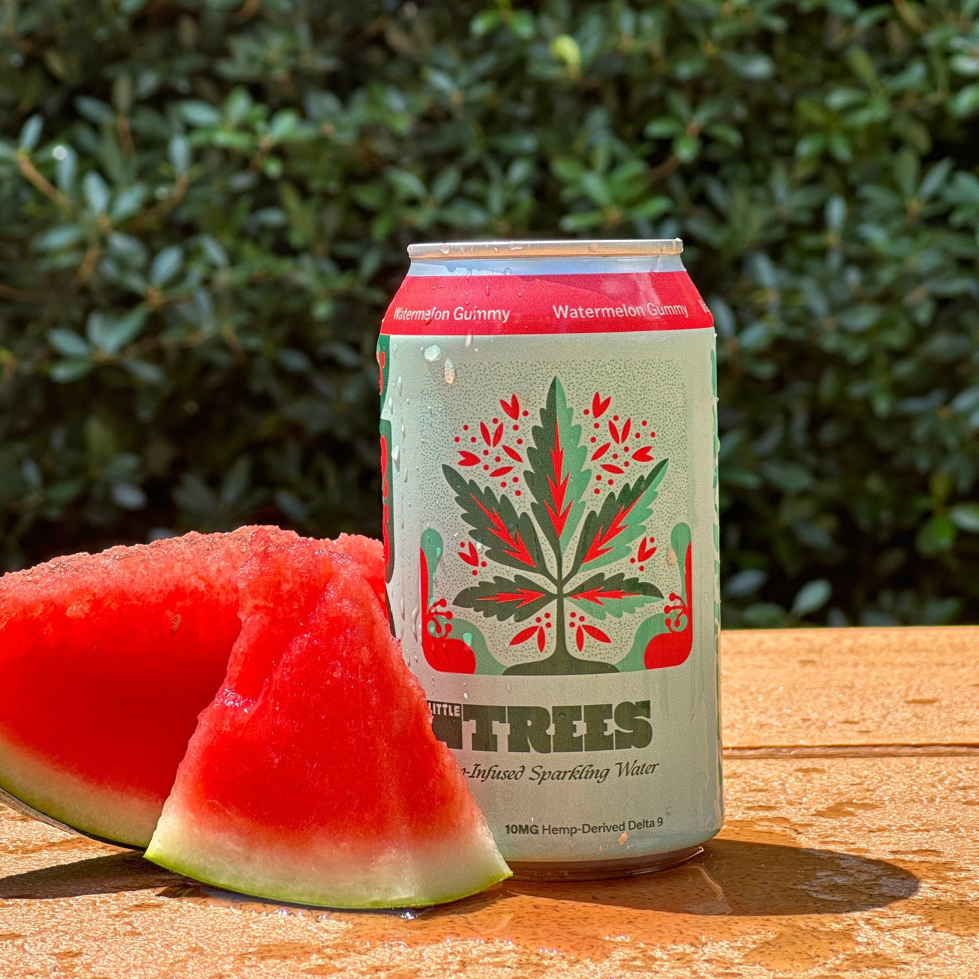 4-Pack Watermelon Gummy - Little Trees Hemp-Derived Sparkling Waters - Foothills Brewing