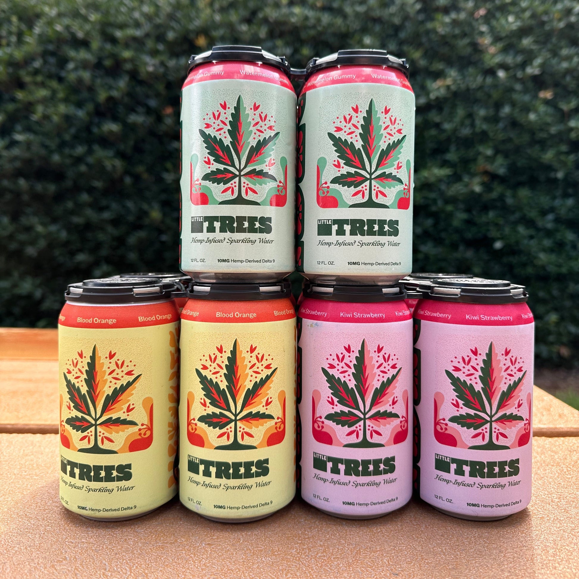 Variety 12-Pack Little Trees Hemp-Derived Sparkling Waters - Foothills Brewing