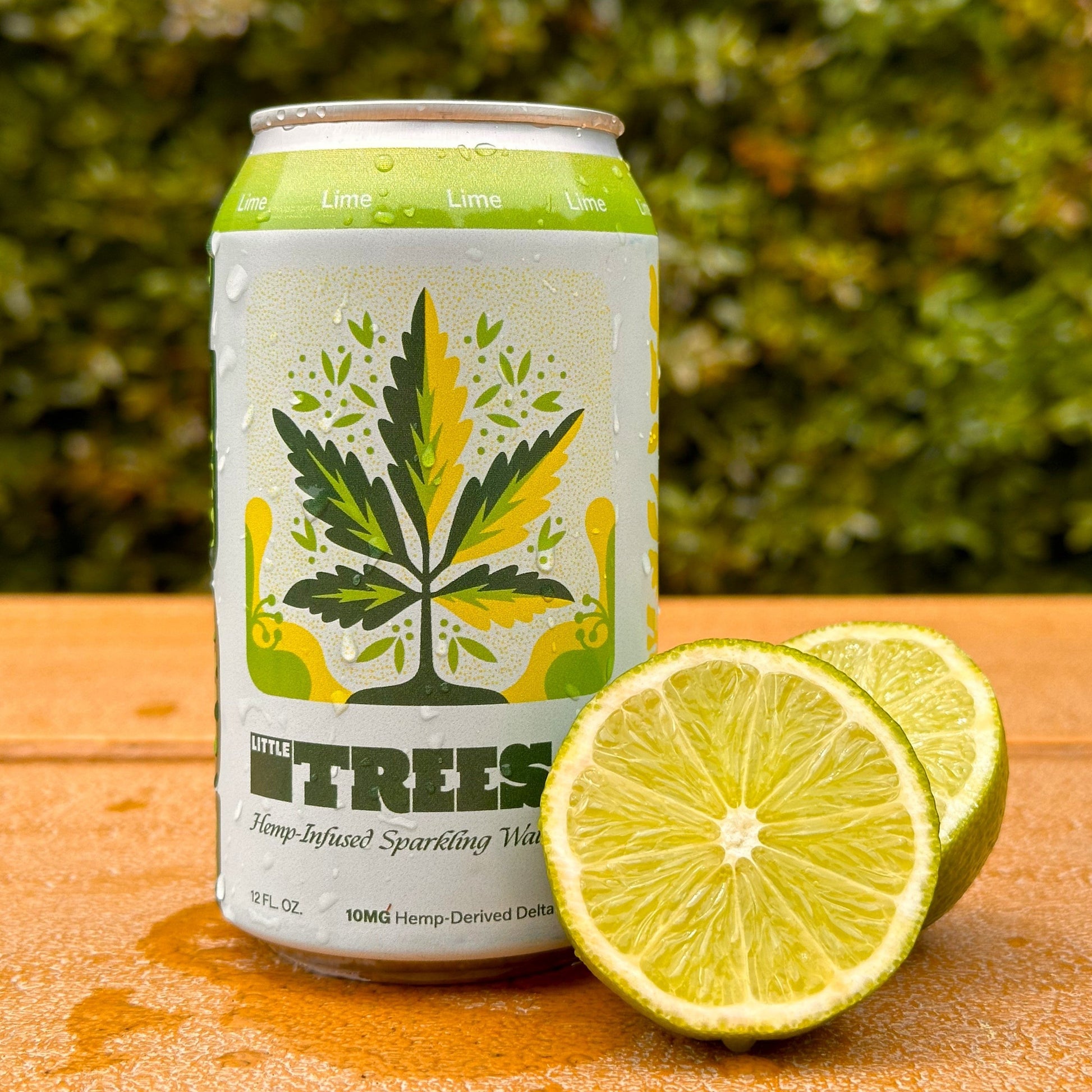 4-Pack Lime - Little Trees Hemp-Derived Sparkling Water - Foothills Brewing